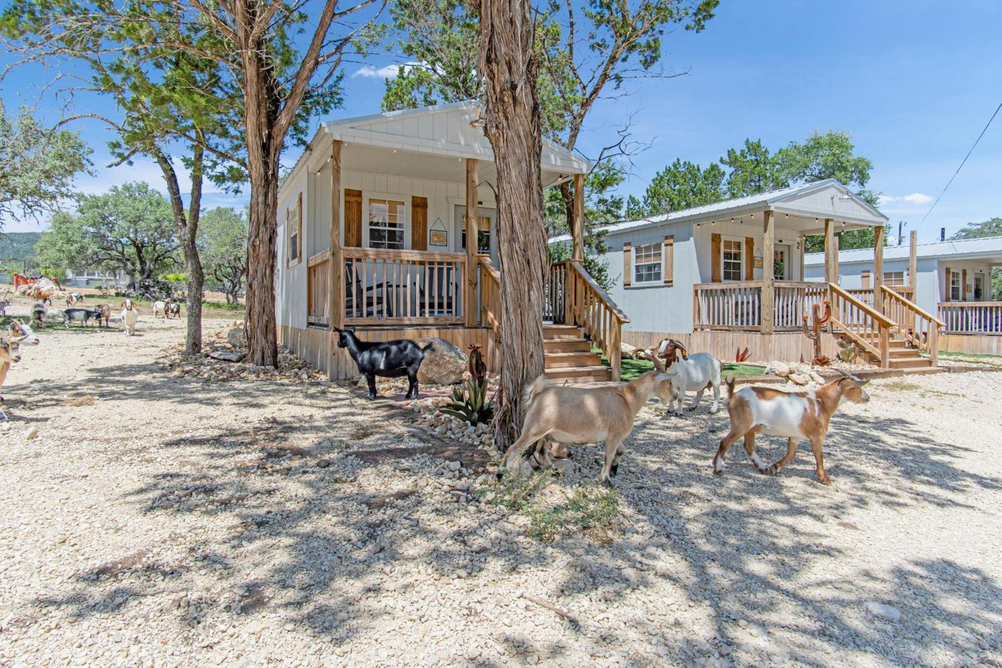 Lucky Star Ranch - Stargazer Hotel Tarpley Exterior foto